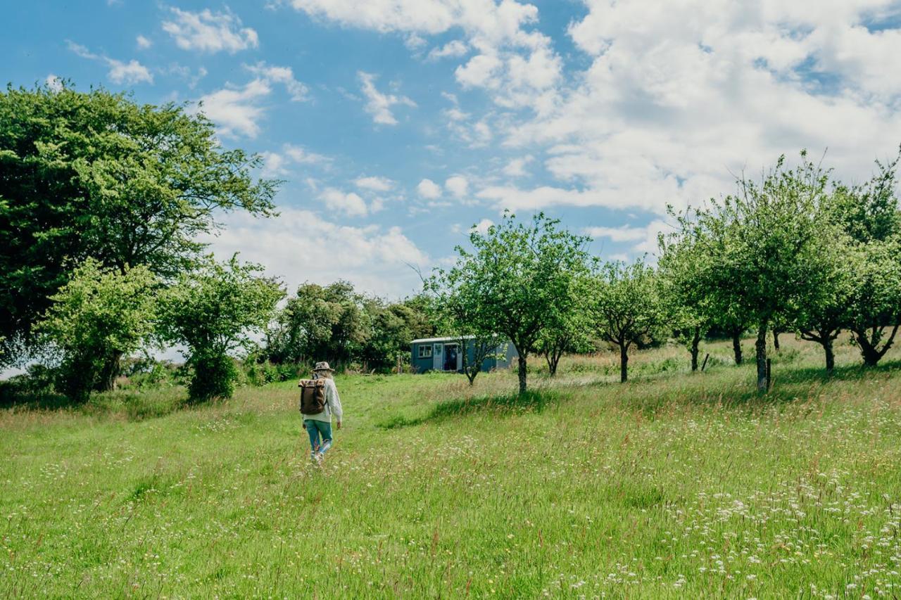 Blatchford Briar - Award Winning Private Shephards Huts With Their Own Secluded Hot Tubs Milton Abbot Exterior photo